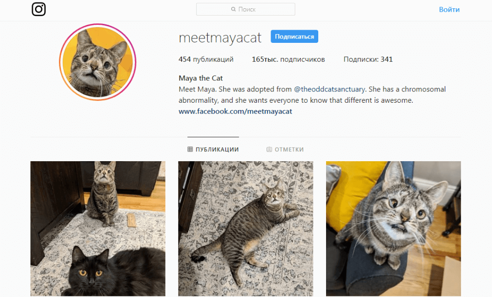 Лучший контент для Instagram: что публикуют известные бренды 16261788163230 Пример создания контента для инстаграм